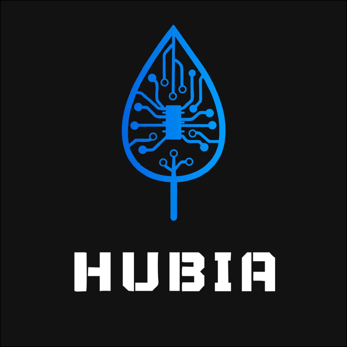 Hubia - Vila Nova de Gaia - Desarrollador de aplicaciones para iOS