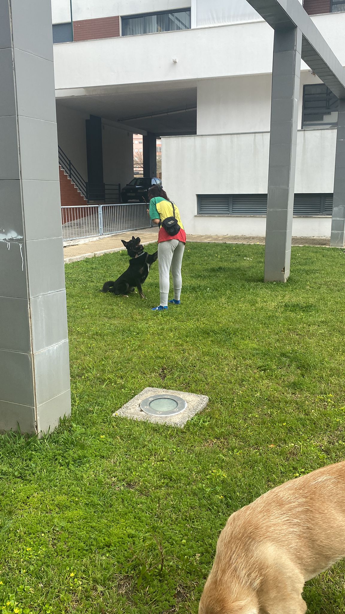 Sofia Fernandes - Setúbal - Limpeza Após Mudanças