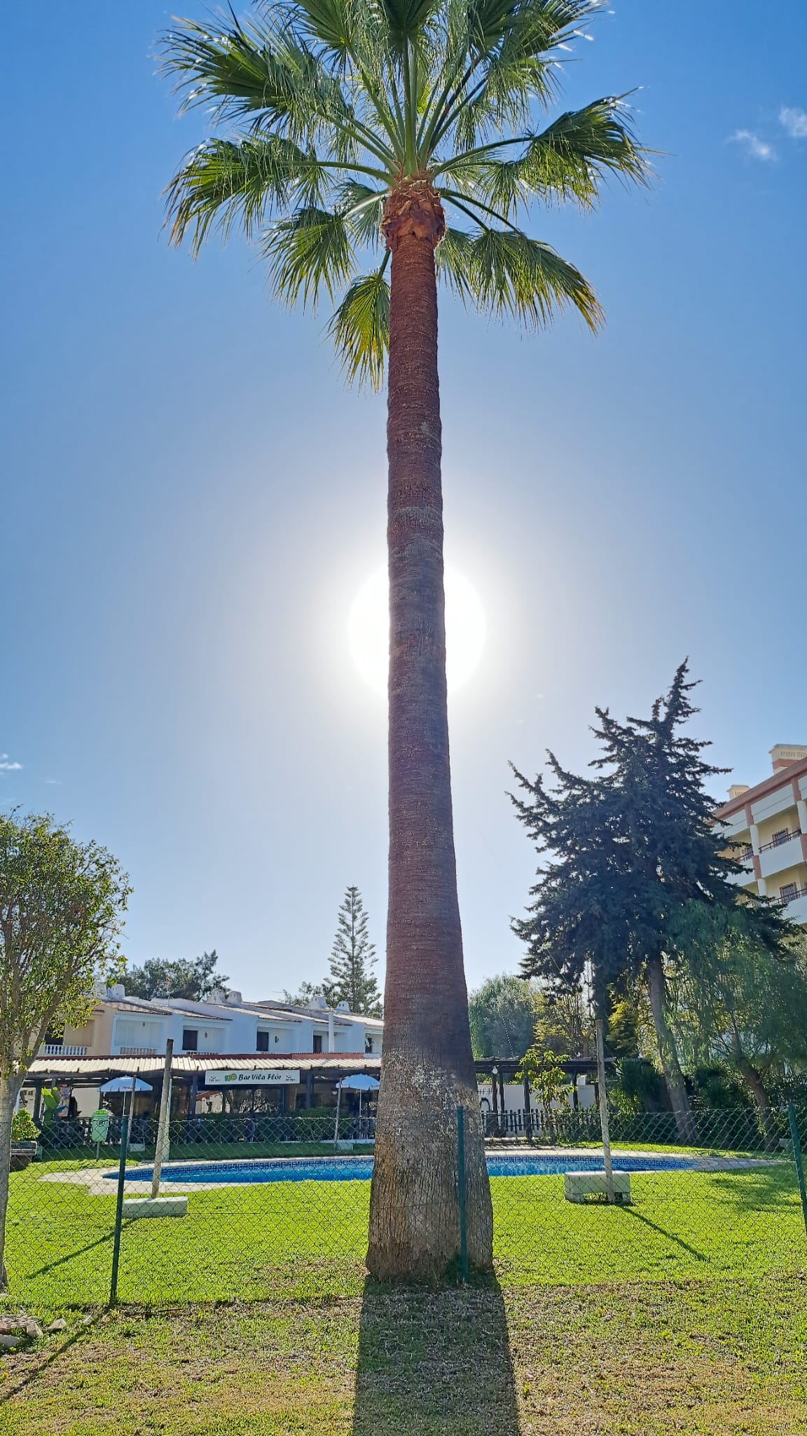 GREENSEQUEIRA - Gardens Construction + Trees - Silves - Multi Service Lawn Care