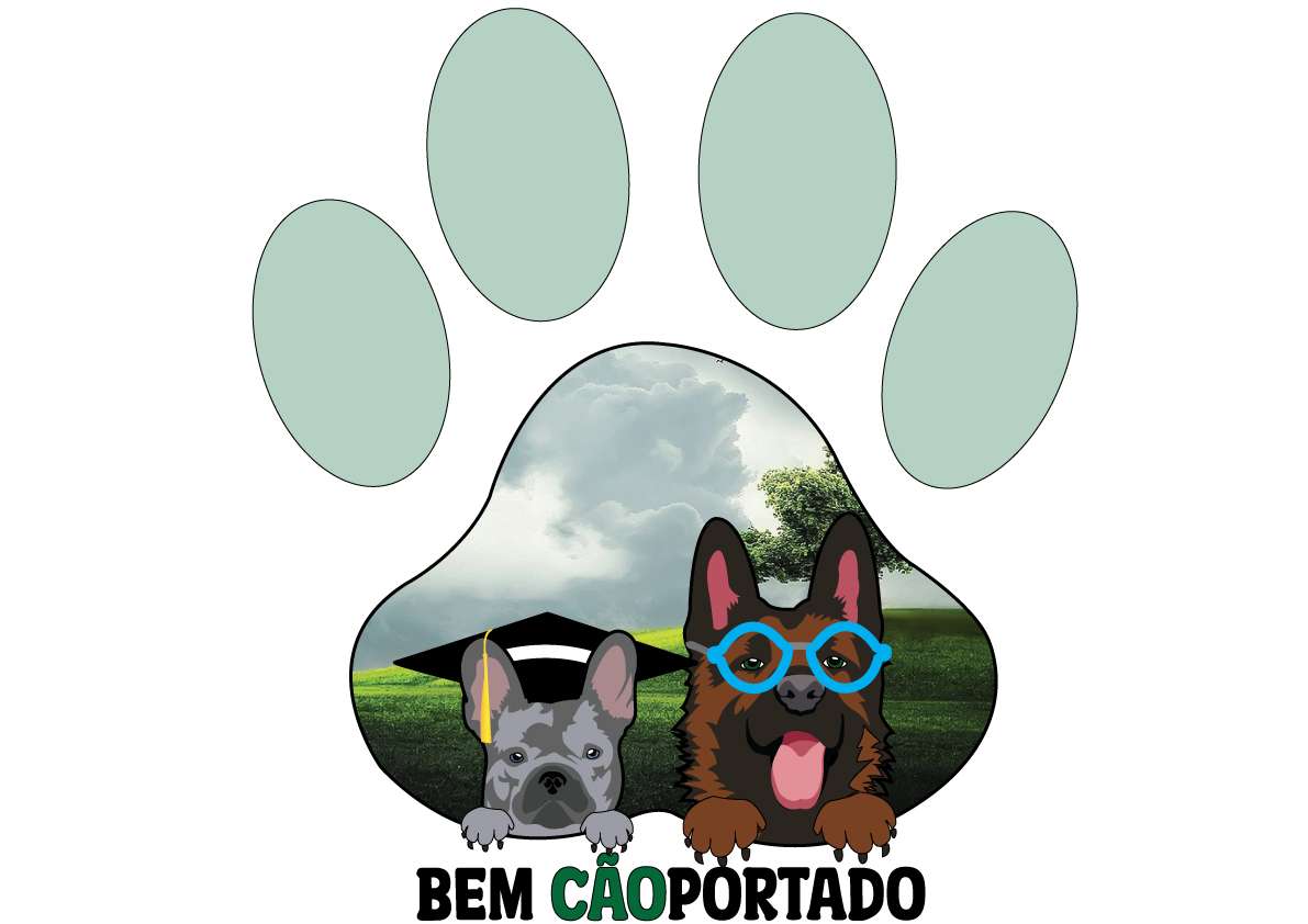 Ricardo Fernandes - Sintra - Treino de Cães - Aulas