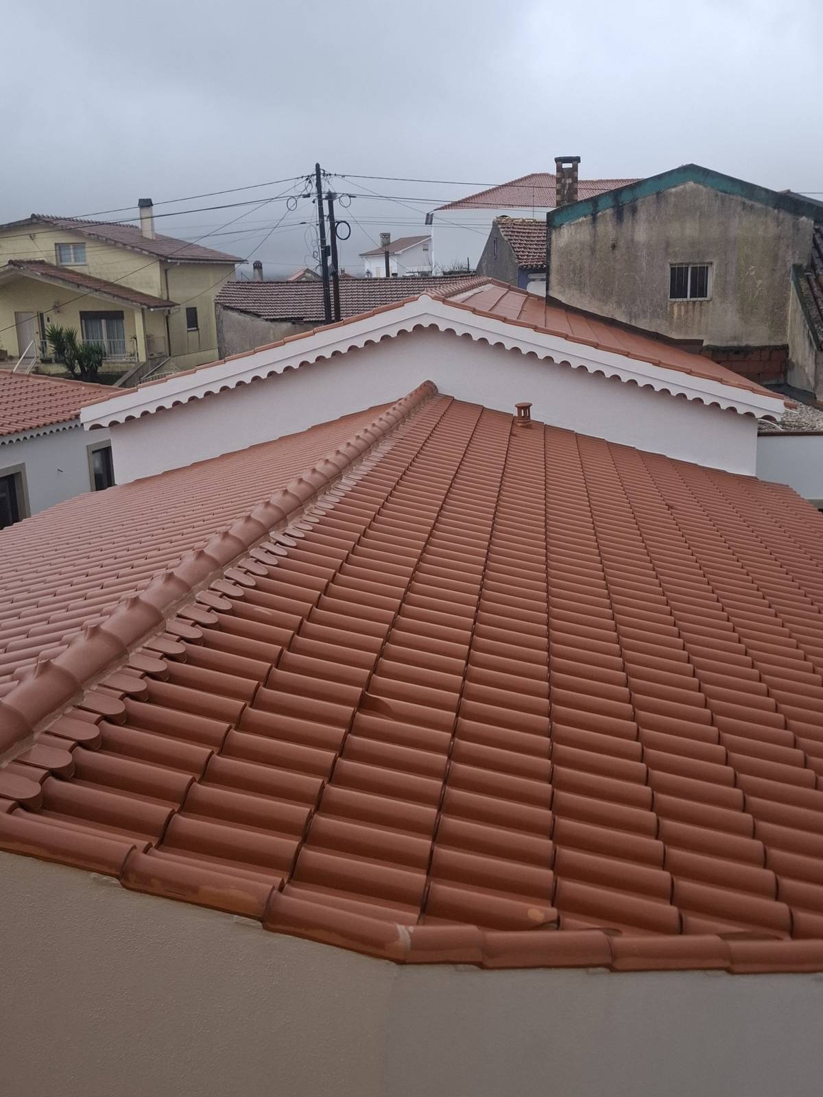 TALENTO CONFIRMADO - Leiria - Instalação de Porta para Animais de Estimação