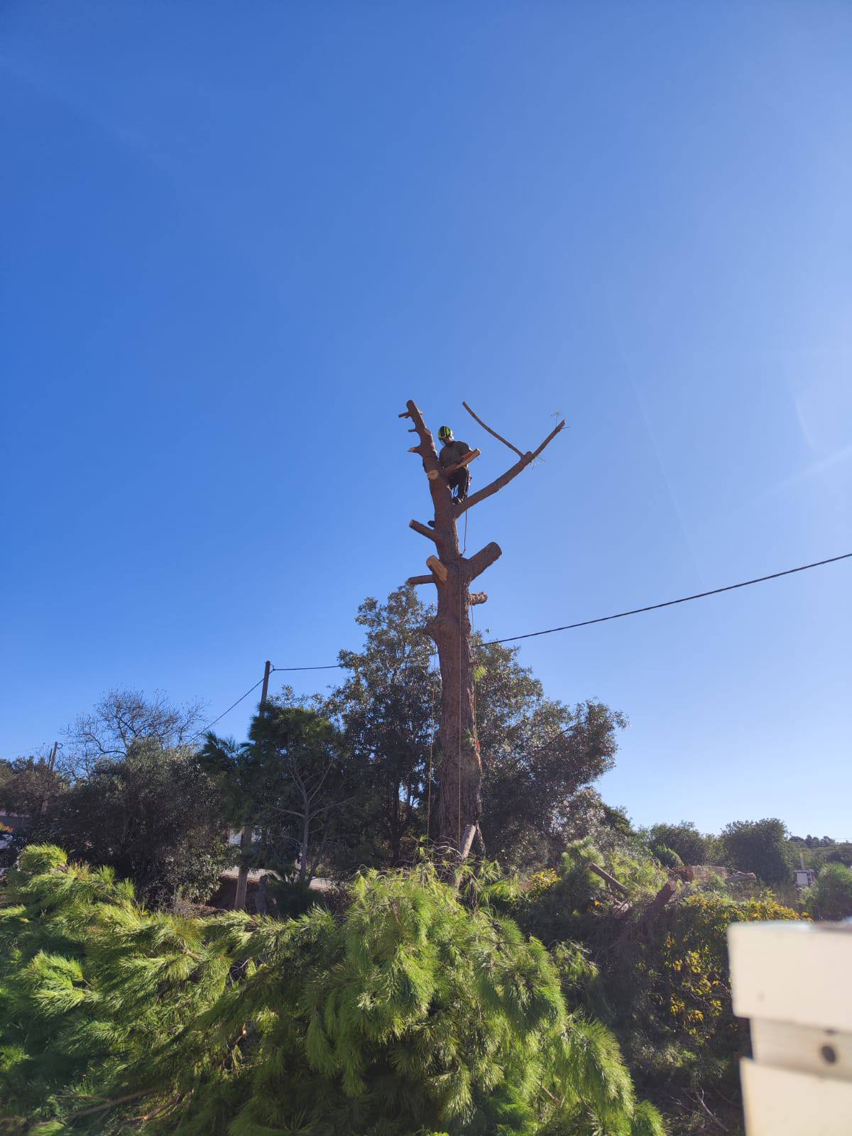 GREENSEQUEIRA - Gardens Construction + Trees - Silves - Bobcat Services