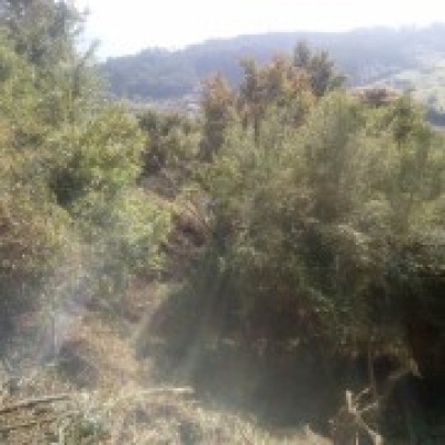 JB.paula - Arcos de Valdevez - Limpeza Geral