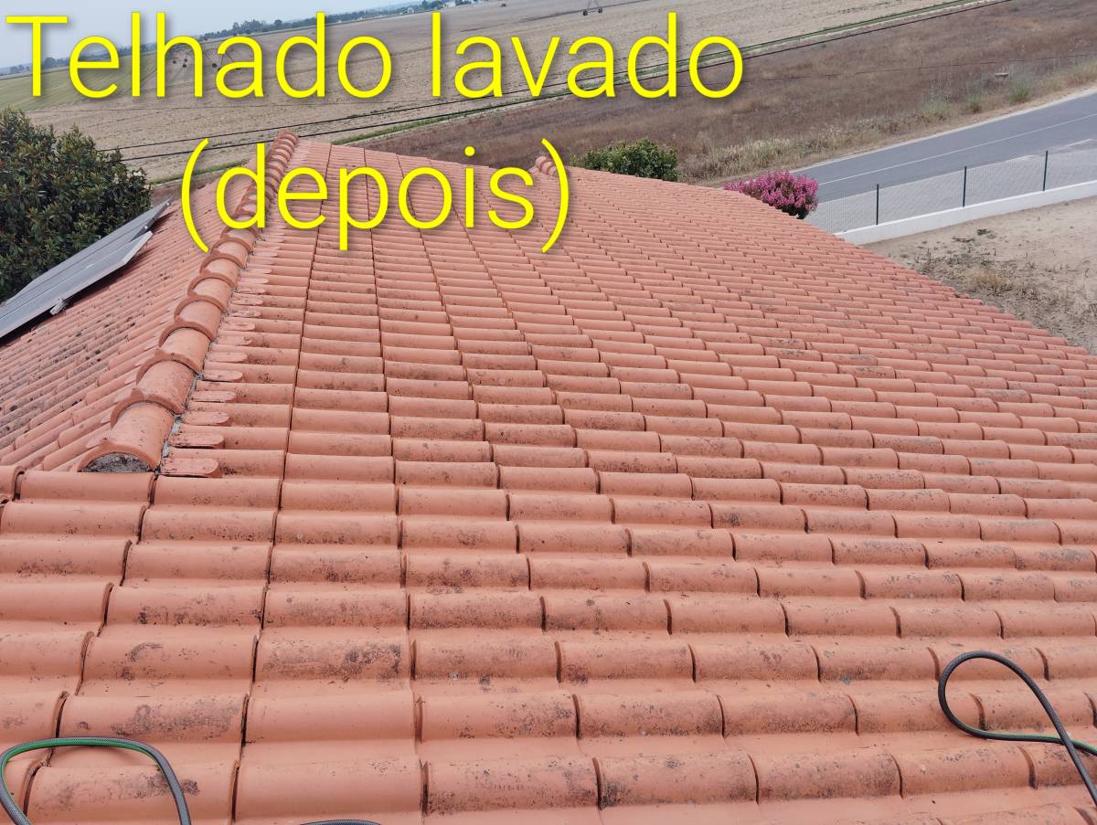 F&G obras e serviços - Odivelas - Wallpaper Repair
