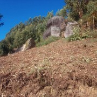 JB.paula - Arcos de Valdevez - Jardinagem e Relvados