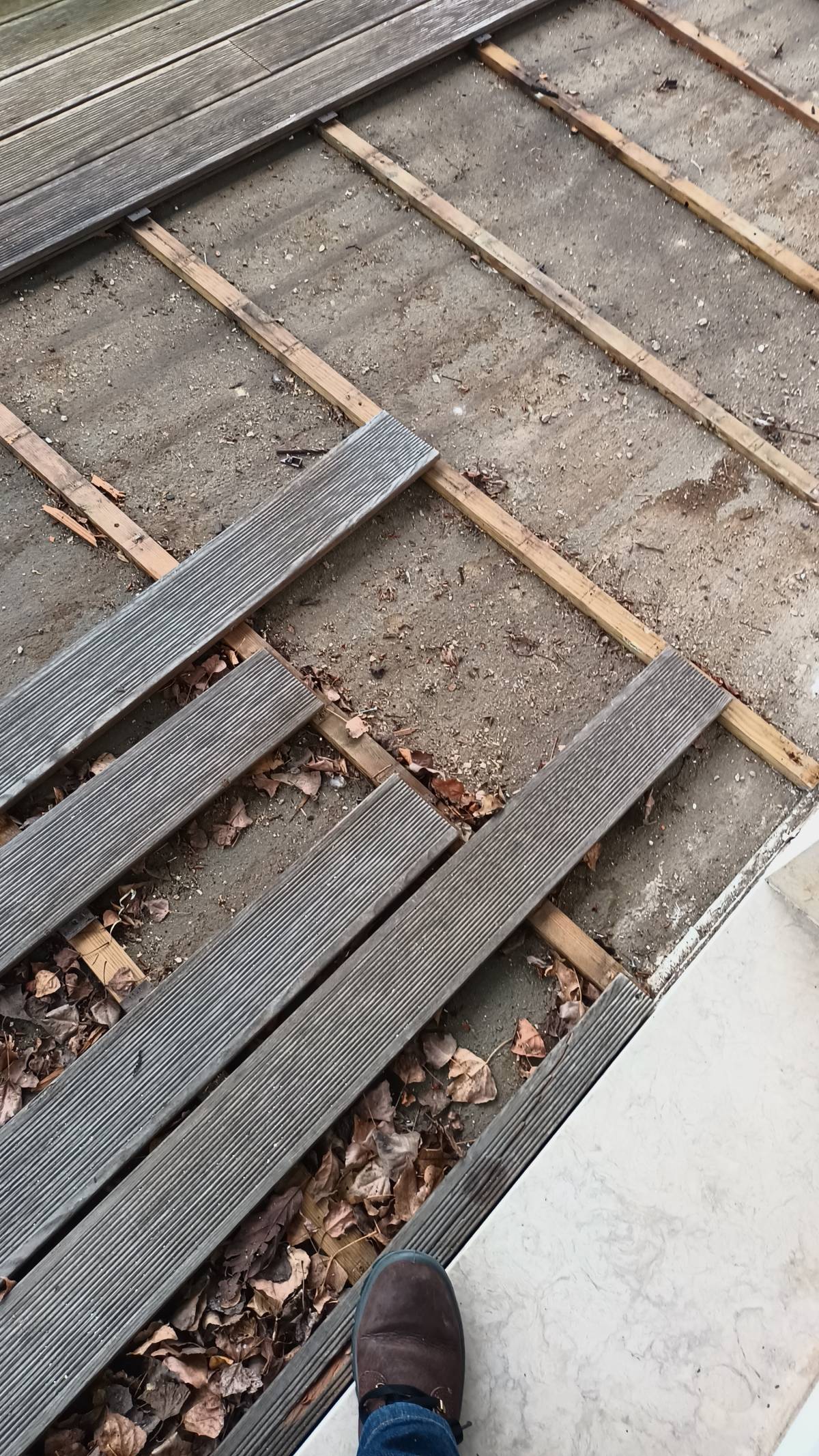 Cordeiro remodelação - Lisboa - Illustration