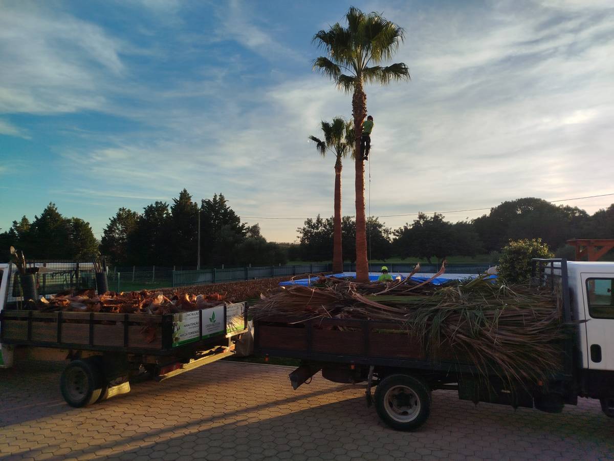 GREENSEQUEIRA - Gardens Construction + Trees - Silves - Sprinkler System Installation