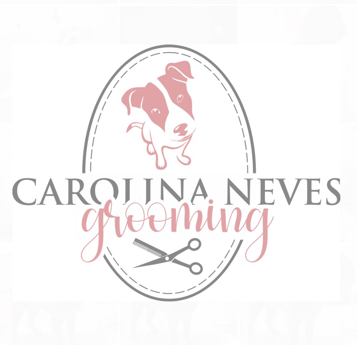 CarolinaNeves Grooming&Hotel - Sintra - Cuidados para Animais de Estimação