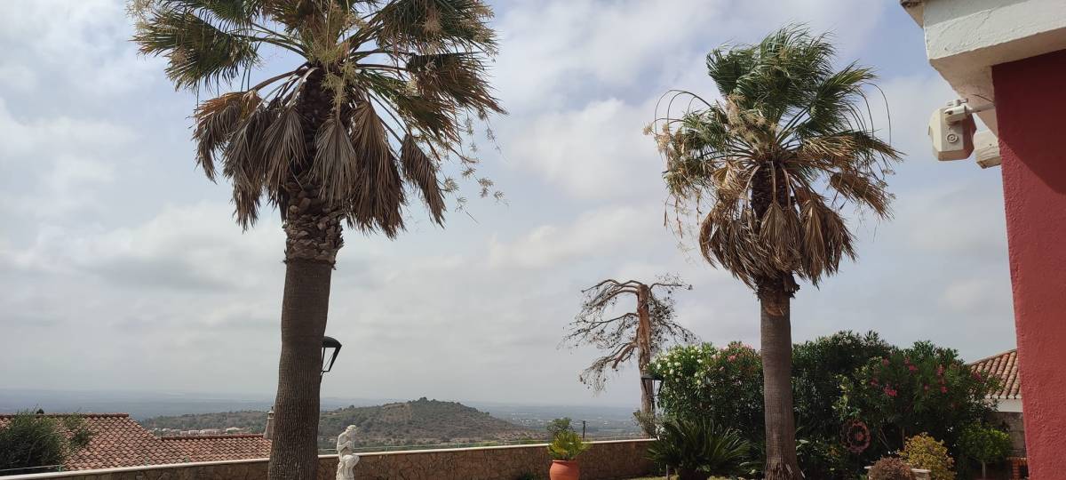 GREENSEQUEIRA - Gardens Construction + Trees - Silves - Equipment Rental