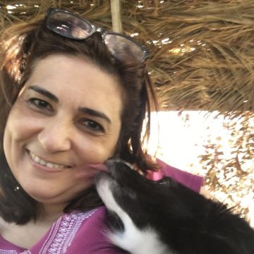 Lovely Pet - Braga - Cuidar tus gatos