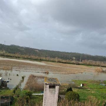 TALENTO CONFIRMADO - Leiria - Instalação ou Remodelação de Gradeamento