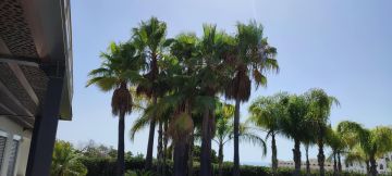 GREENSEQUEIRA - Gardens Construction + Trees - Silves - Lawncare