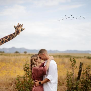 Fotografía de eventos - Diogo Vicente - 