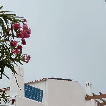 GSJ REMODELAR - Albufeira - Gazebo Installation