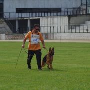 Tiago Baptista - Braga - Dog Training