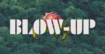 Blow-up Agency - Portimão - Marketing