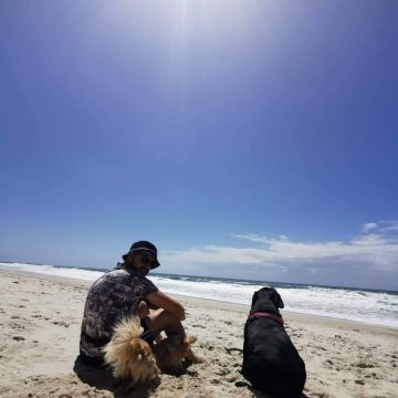 PatinhasFelizes - Ílhavo - Paseador de perros