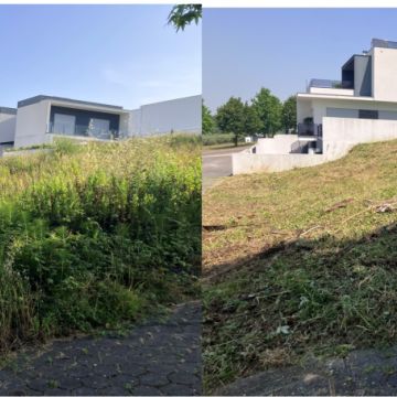 Papa Matos Leiria - Leiria - Instalação de Tapete de Relva