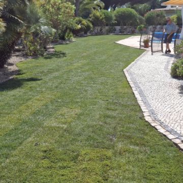 GREENSEQUEIRA - Gardens Construction + Trees - Silves - Gardening