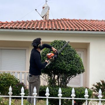 Papa Matos Leiria - Leiria - Plantação de Árvores