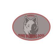 Nuno Nunes - Salvaterra de Magos - Dog Training