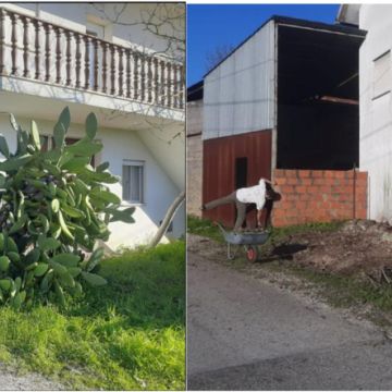 Papa Matos Leiria - Leiria - Handyman