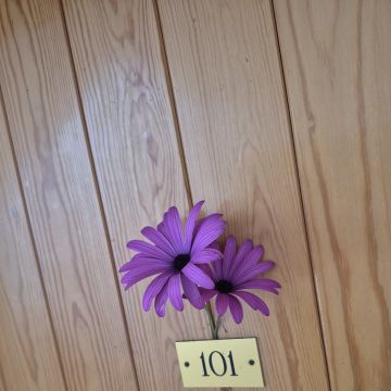 Home Fay - Almada - Deep or Spring Cleaning