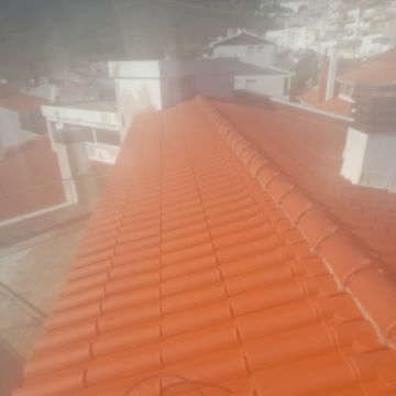 Reparo com eficiência. - Alcobaça - Trituración y eliminación de tocones