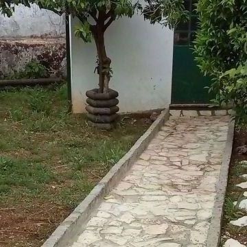Papa Matos Leiria - Leiria - Serviço de Biscates