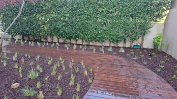 SA serviços de jardinagem - Vila Nova de Gaia - Baumpflege