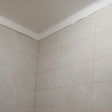 Bordon Remodelação e construção - Pombal - Attic Remodel