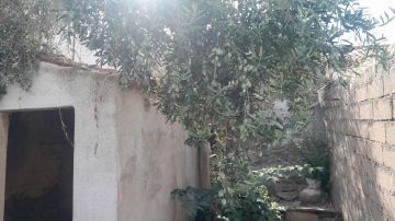 Construtor Civil - Casa