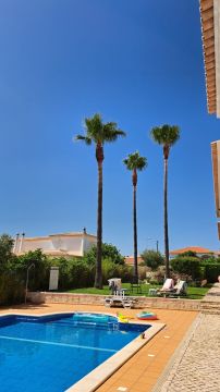 GREENSEQUEIRA - Gardens Construction + Trees - Silves - Land Leveling and Grading - Large Scale (more than 1 acre)