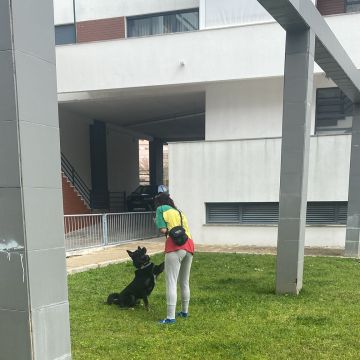 Sofia Fernandes - Setúbal - Limpieza para mudanzas