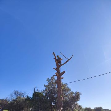 GREENSEQUEIRA - Gardens Construction + Trees - Silves - Bobcat Services