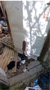 Construção de Parede Interior