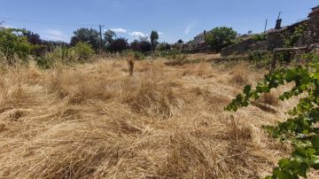 Jardinagem e Relvados