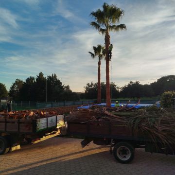 GREENSEQUEIRA - Gardens Construction + Trees - Silves - Sprinkler System Installation