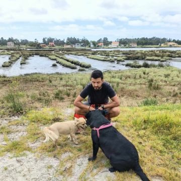 PatinhasFelizes - Ílhavo - Cuidar tus perros