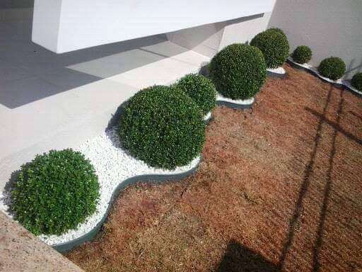 Ebenezer Pires de Carvalho - Vidigueira - Lawn Mowing and Trimming