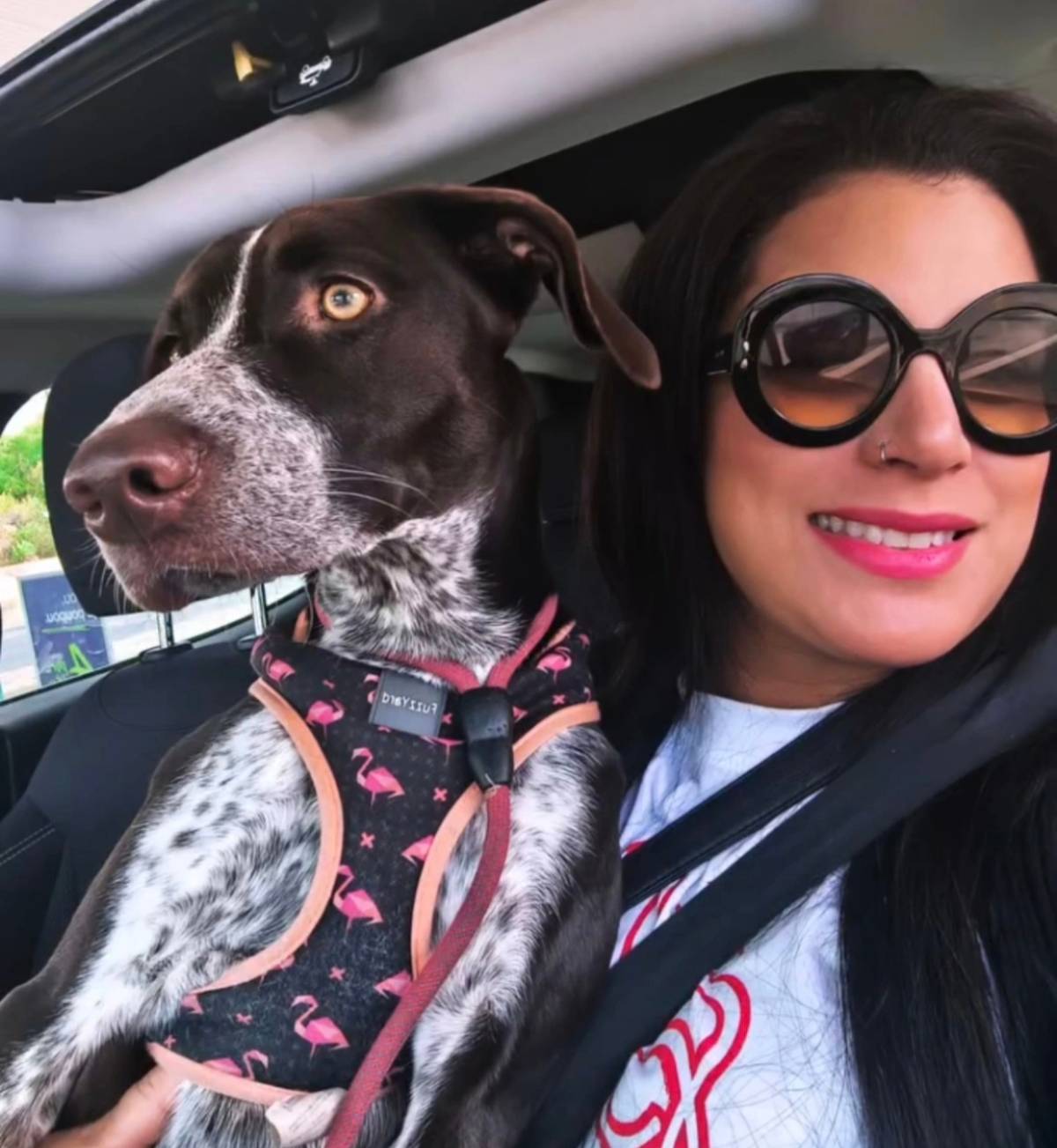 Anita de paulo - Portimão - Dog Walking