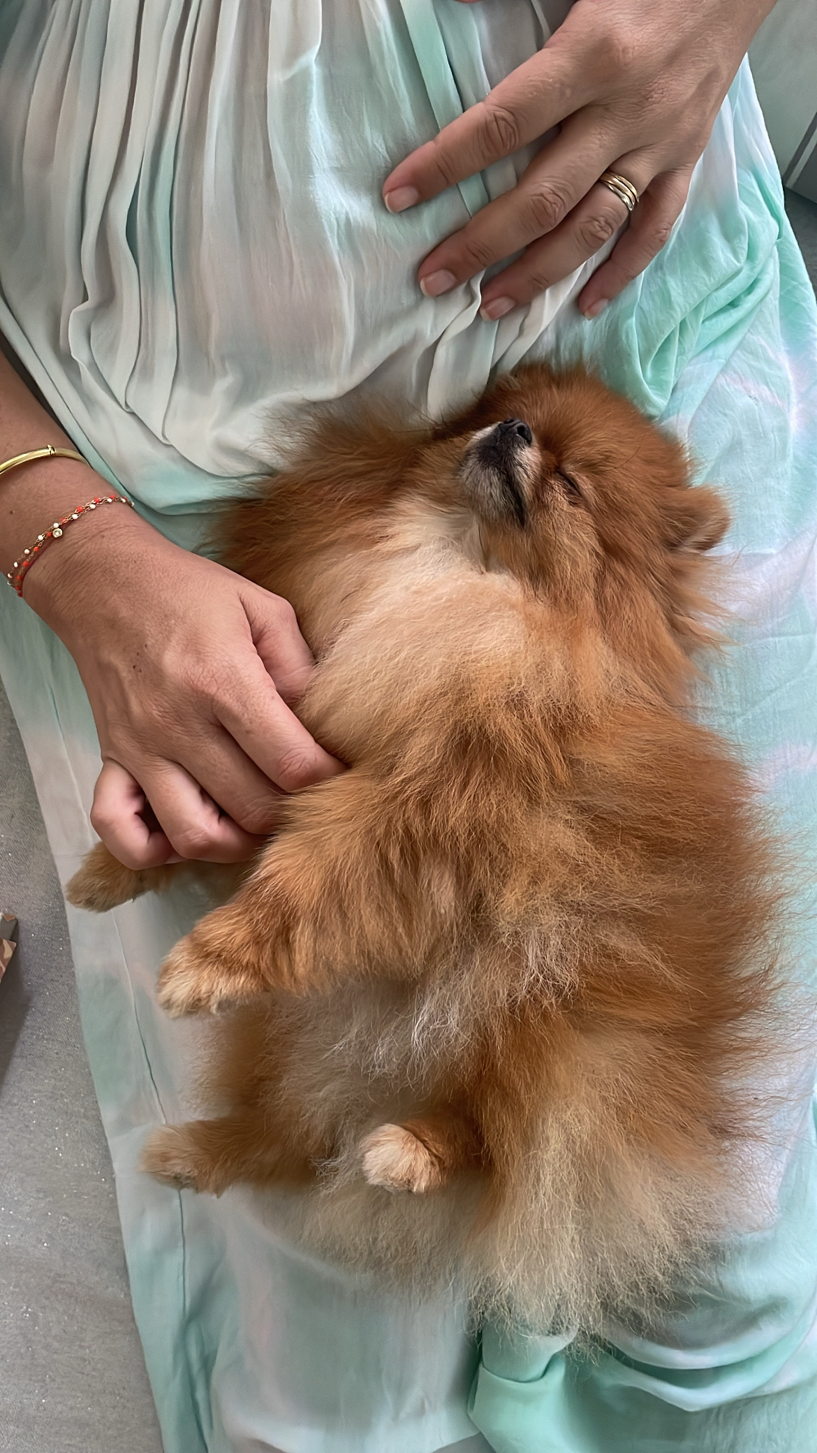Manon Yeung - Almada - Pet Sitting