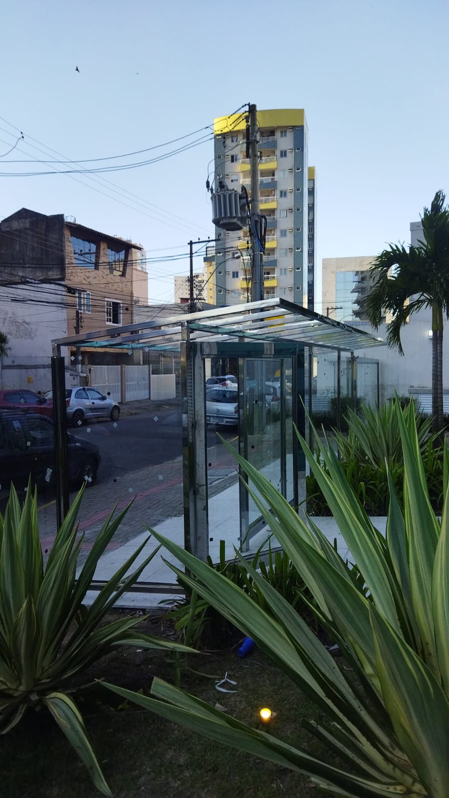 O especialista Pedro Barbosa - Odivelas - Asbestos Removal