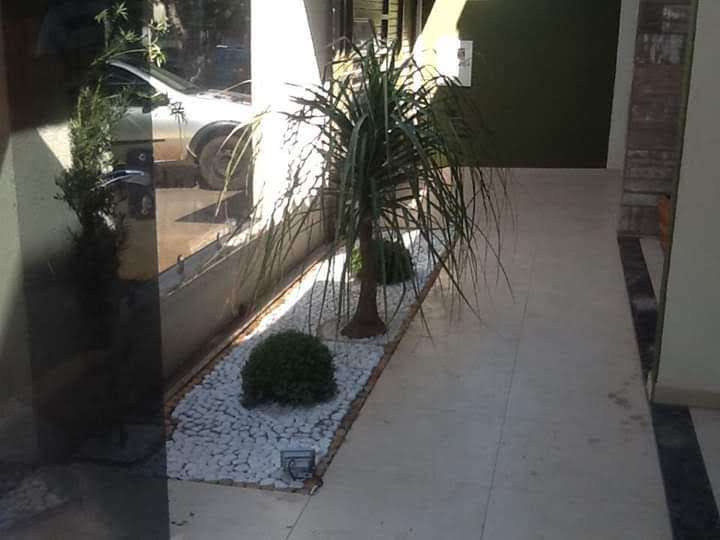 Ebenezer Pires de Carvalho - Vidigueira - Tree Trimming and Maintenance