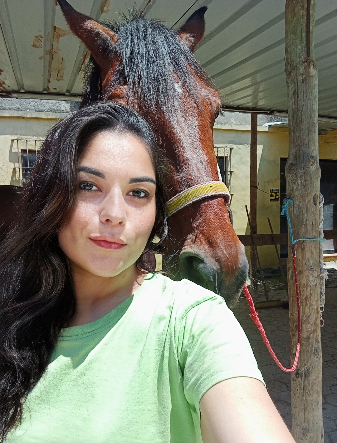Ana Júlia - Aveiro - Dog Daycare