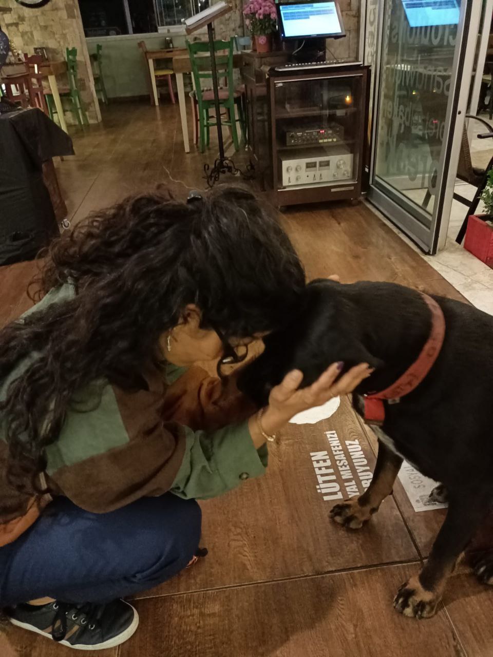 Bakis Demir - Lisboa - Dog Sitting