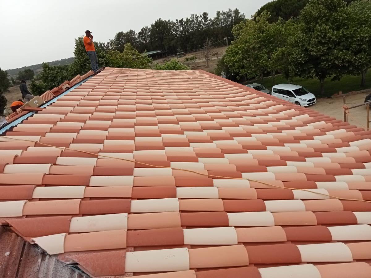 Tribo Salgada Construção Unipessoal LDA - Caldas da Rainha - Manutenção e Reparação de Terraço