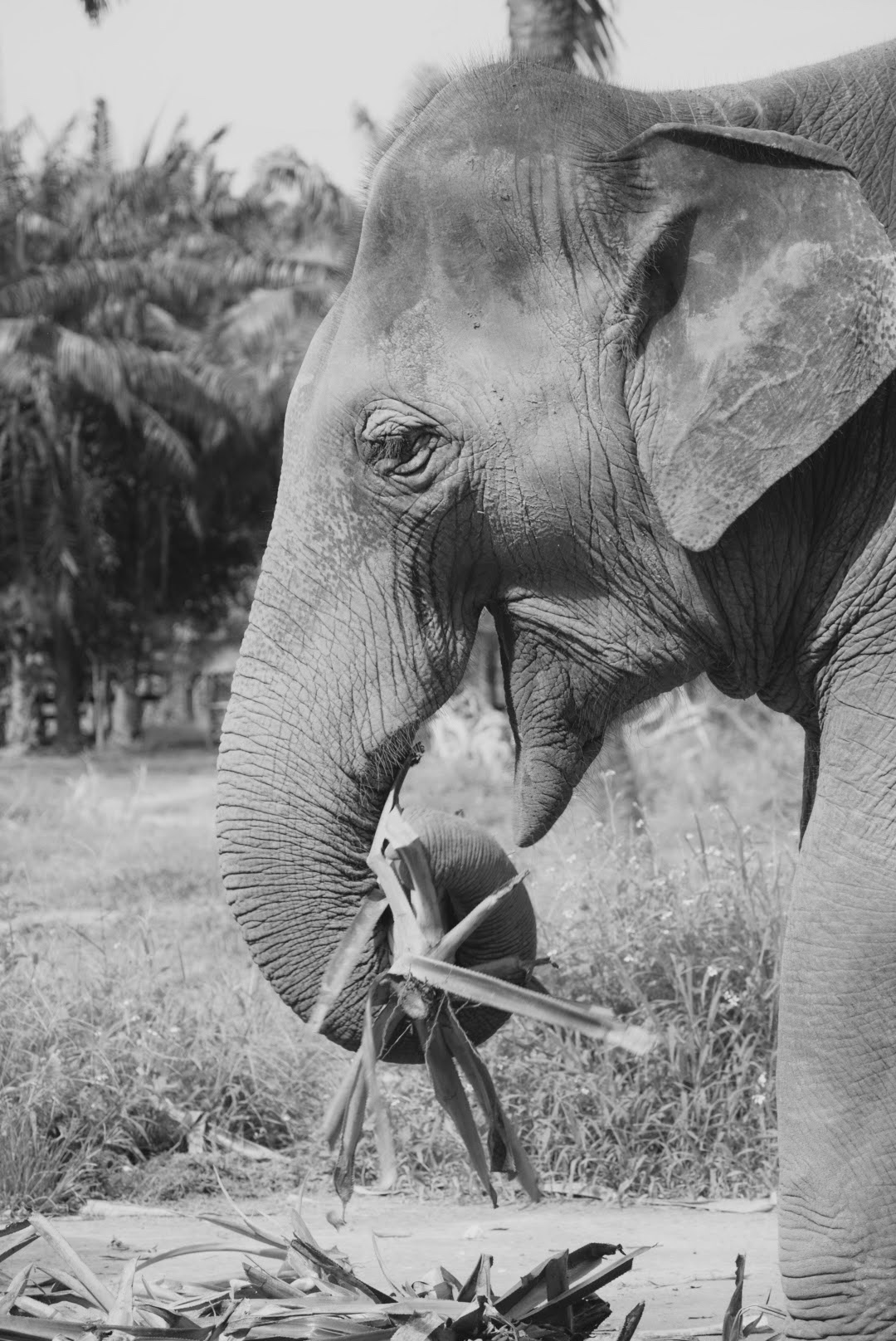 Joana Amorim Fotografia - Sintra - Fotografia de Bebés