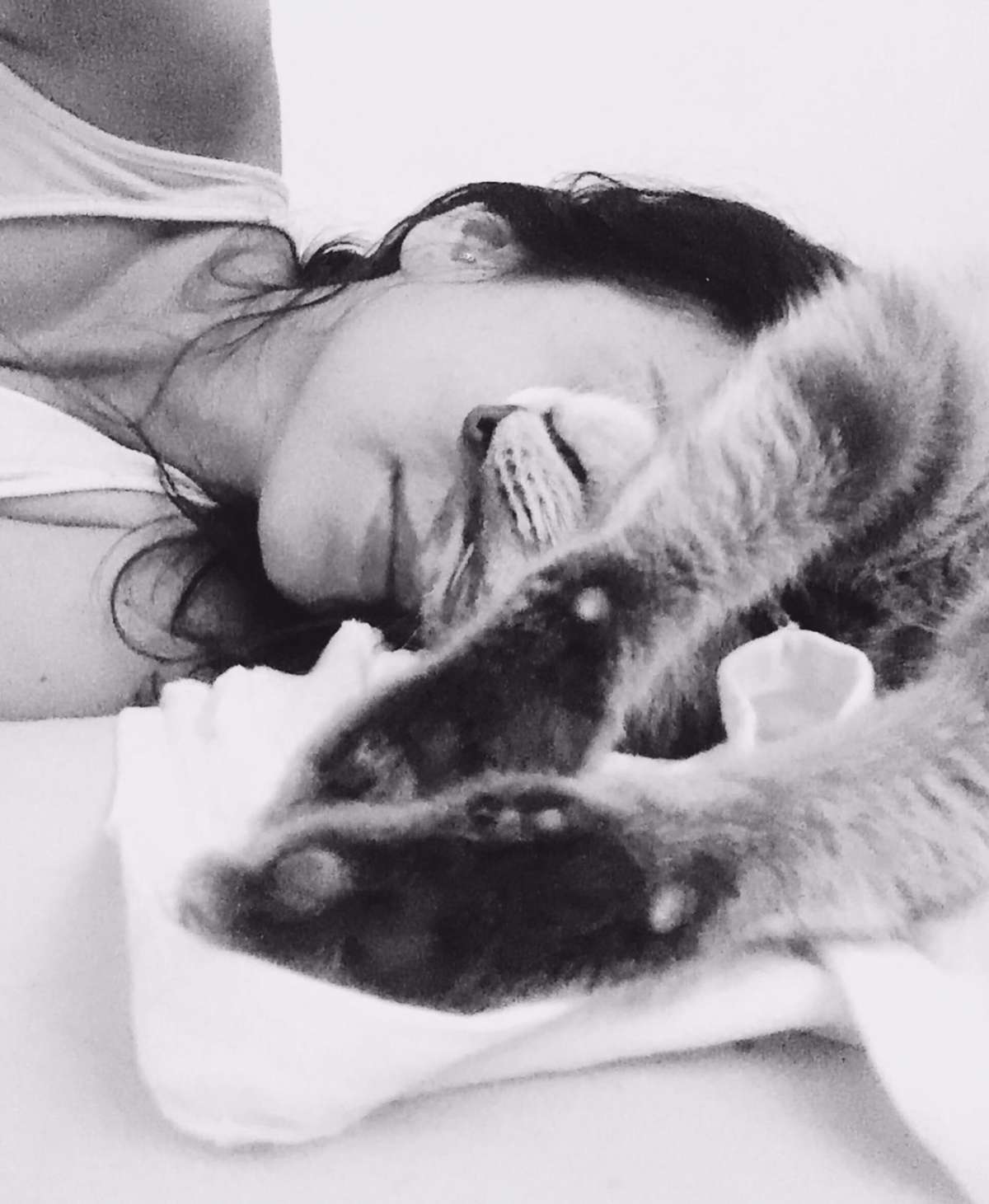 Mayerly Maldonado - Póvoa de Varzim - Cat Sitting