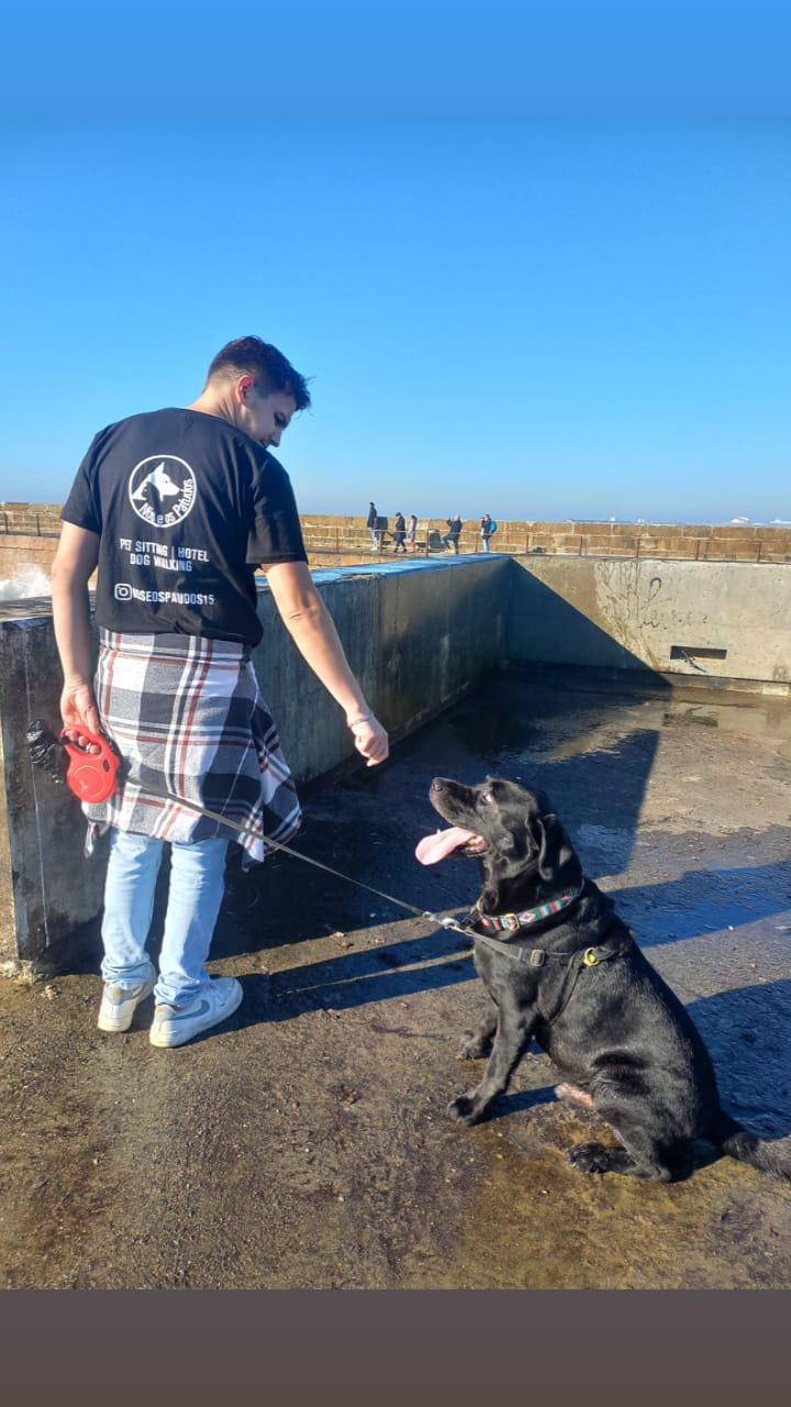 Nós e os Patudos - Matosinhos - Dog Sitting